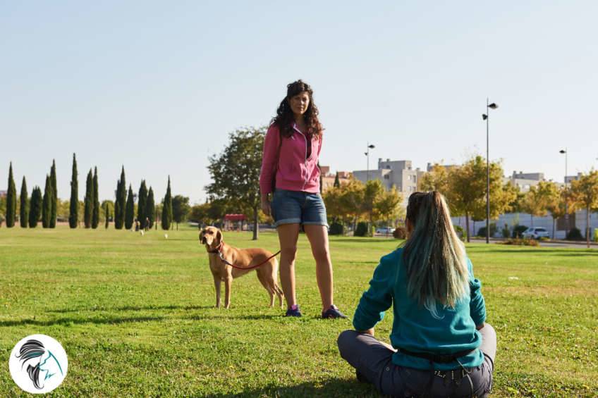 Taller de la llamada a perros