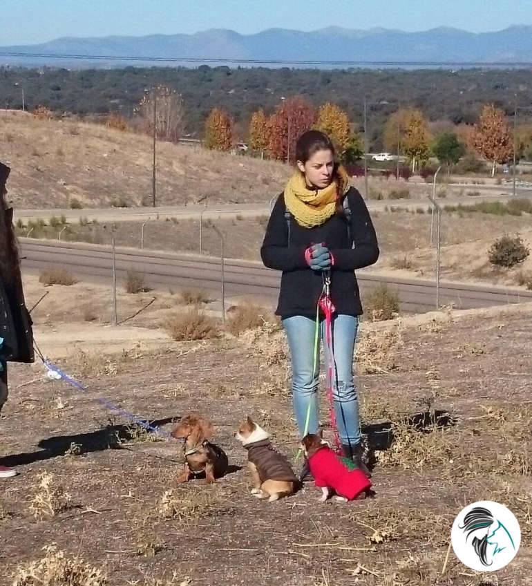 Salida de socializacion canina - nov17 - Siente a tu perro