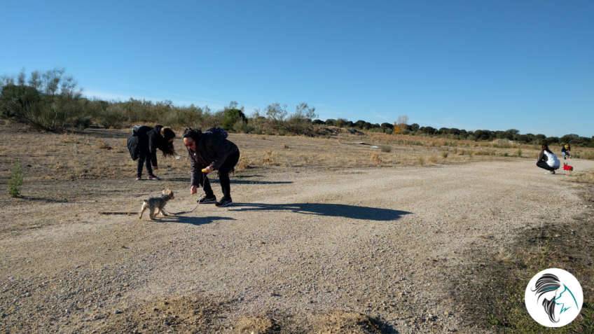 Salida de socializacion canina - nov17 - Siente a tu perro