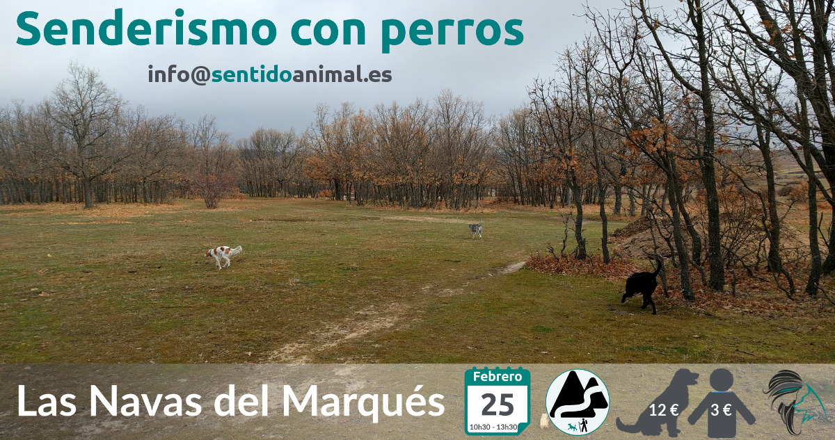 Senderismo con perros – febrero 2018