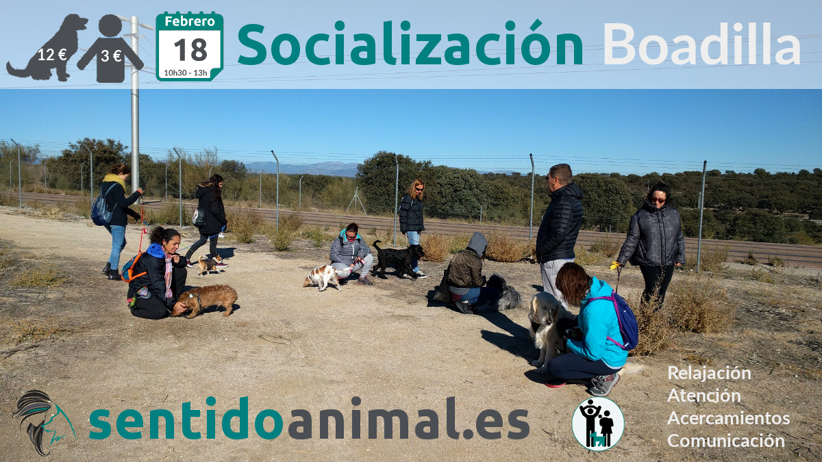 Salida de socialización – febrero 2018