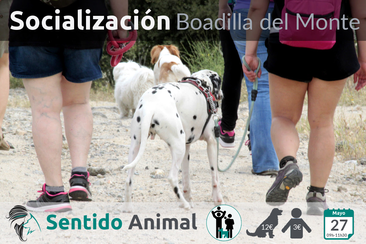 Salida de socialización canina – mayo 2018