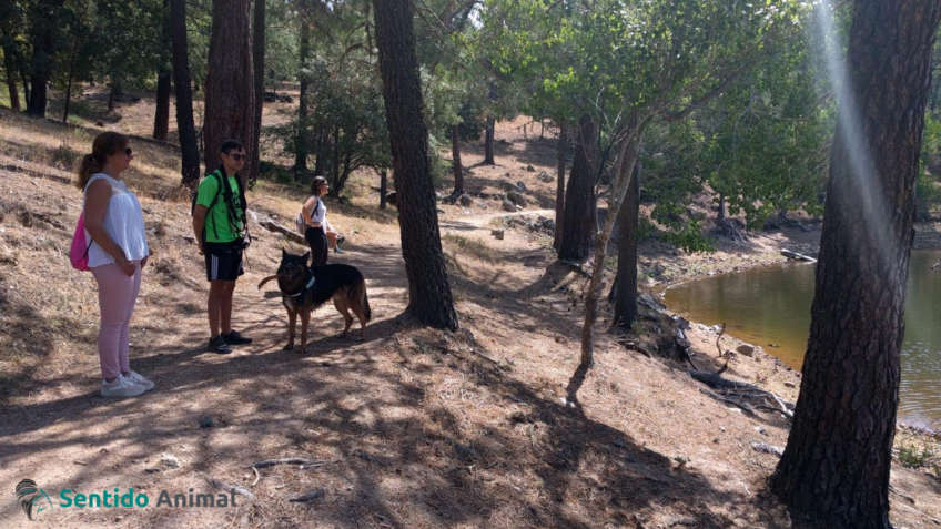 Salida de senderismo con perros