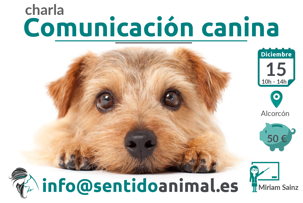 Charla: Comunicación canina