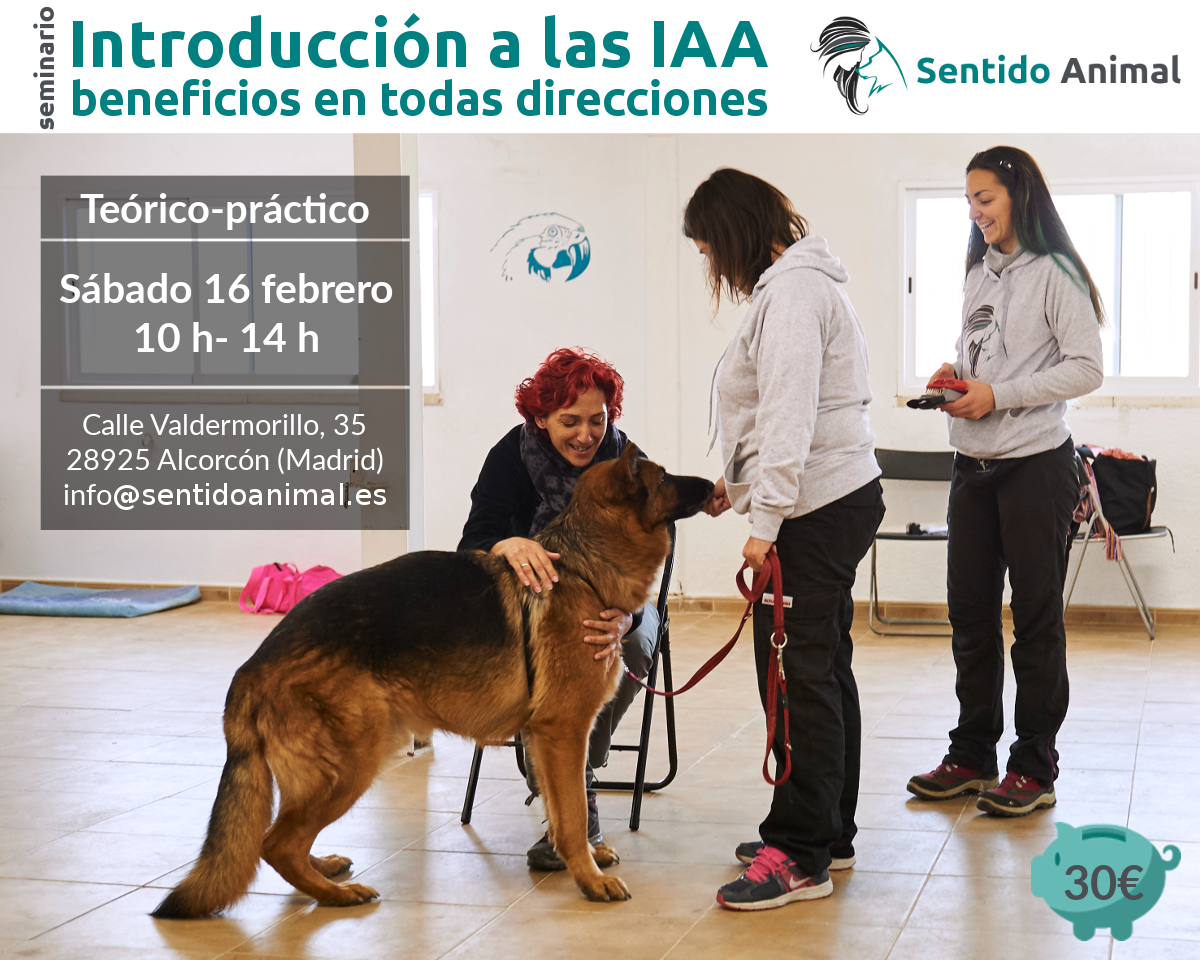 Seminario: Introducción a las IAA – beneficios en todas direcciones