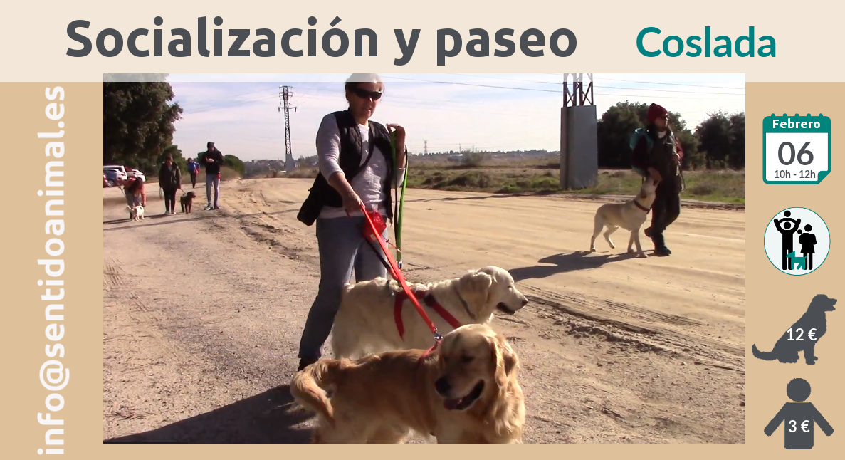 Socialización canina y paseo miércoles – febrero 2019