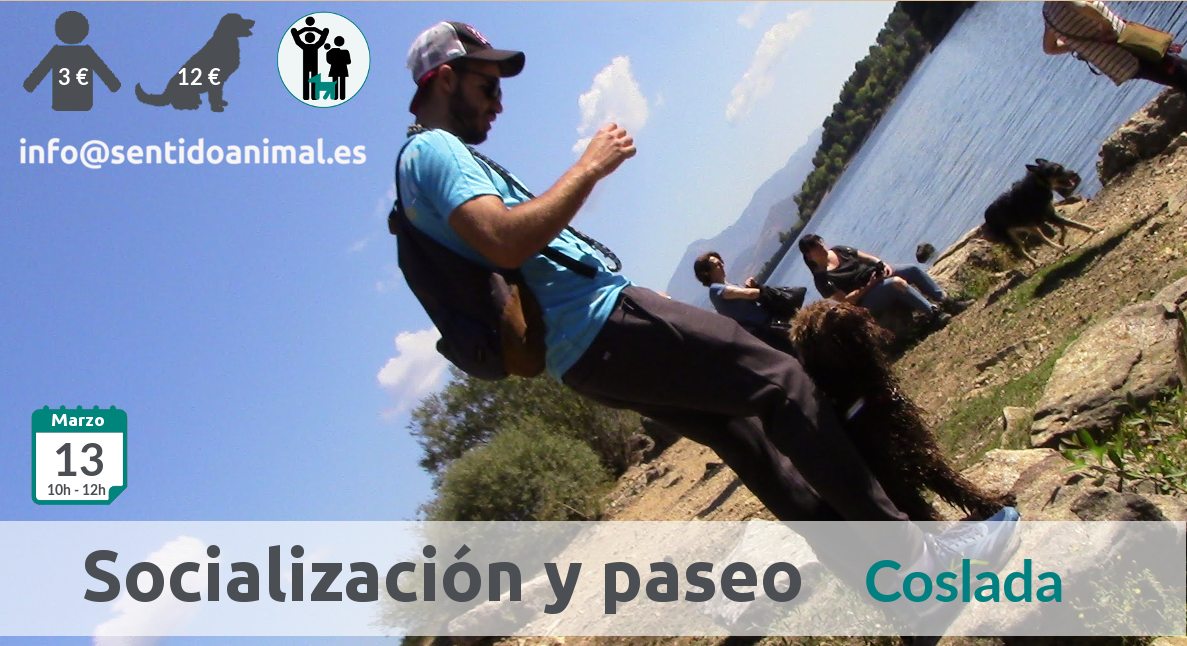 Socialización canina y paseo miércoles – marzo 2019