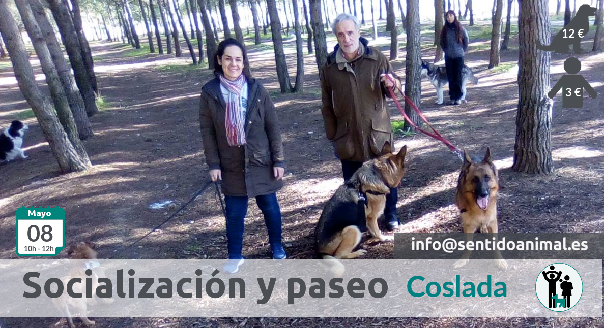 Socialización canina y paseo miércoles – junio 2019