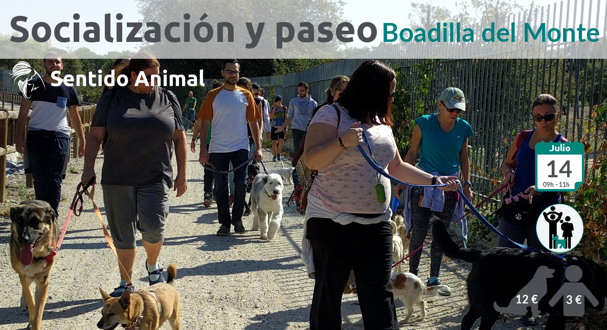 Socialización canina y paseo – julio 2019