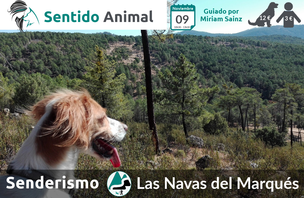 Senderismo con perros – noviembre 2019