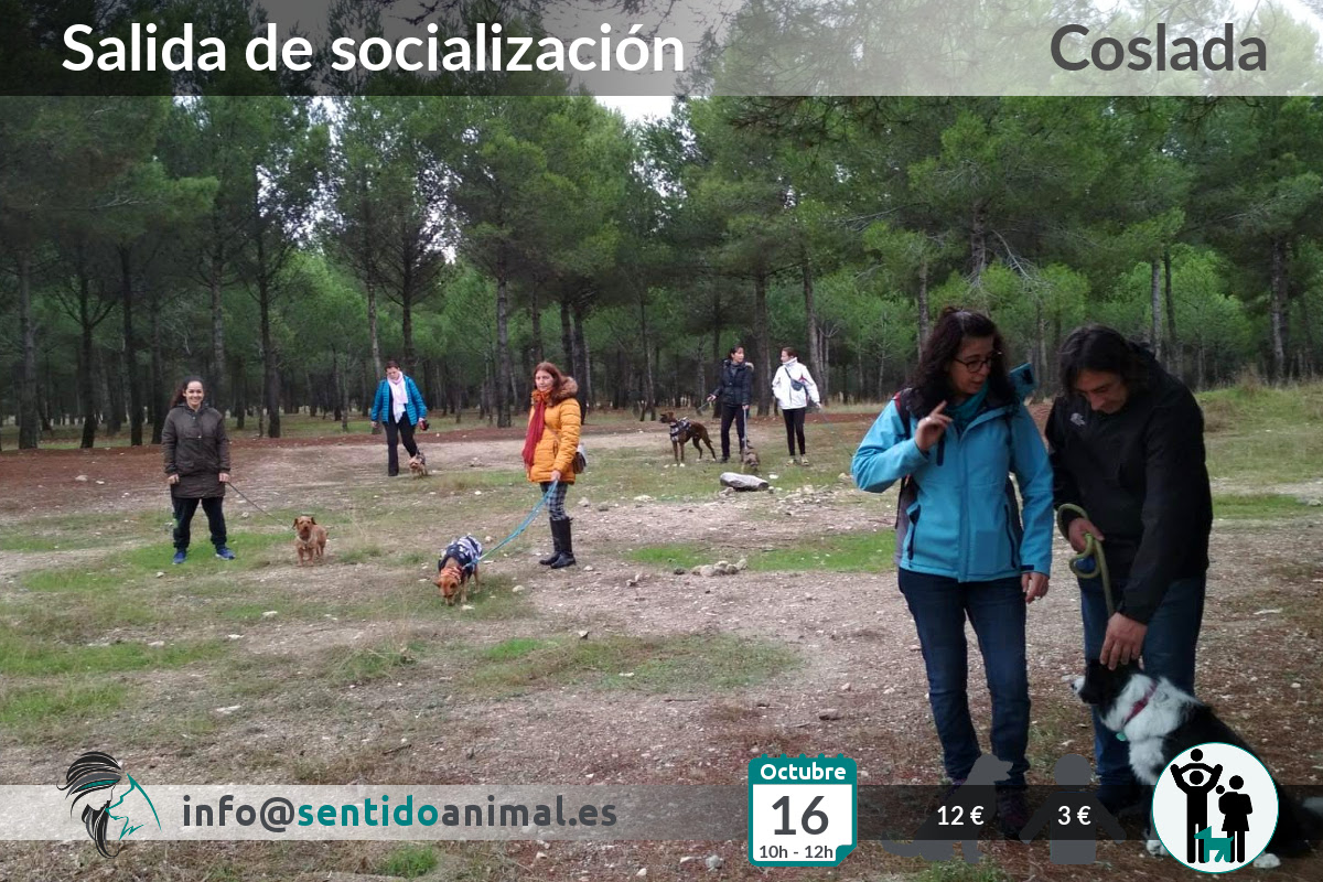 Socialización canina y paseo miércoles – octubre 2019