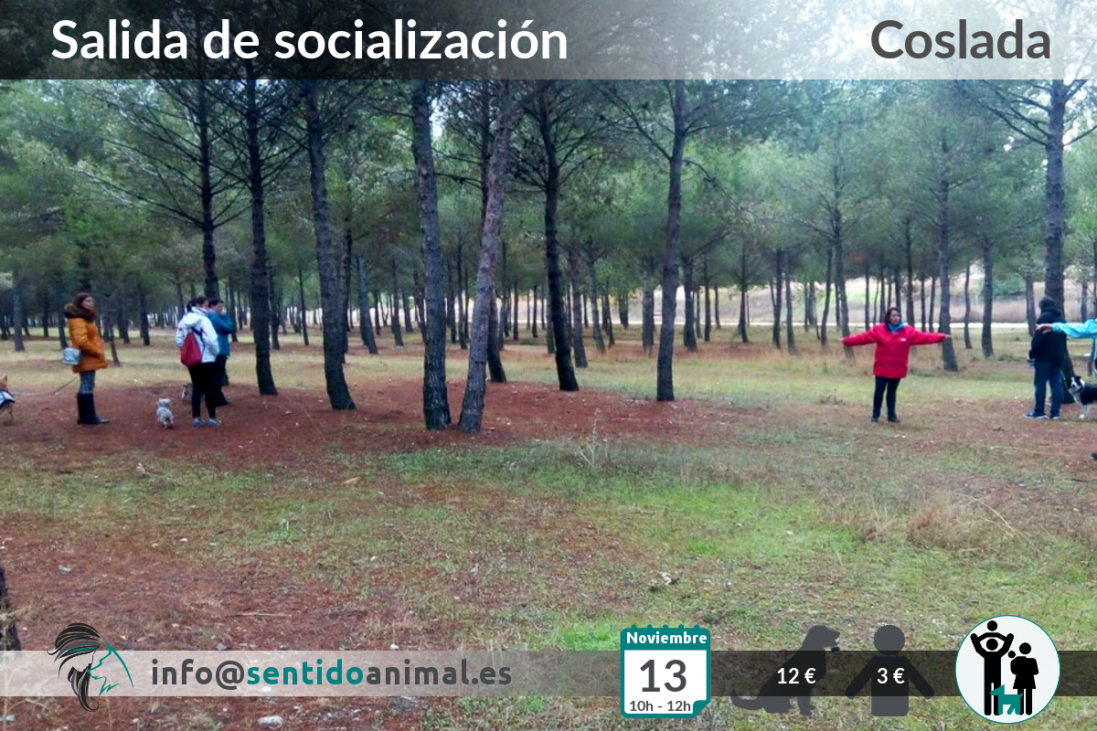 Socialización canina y paseo miércoles – noviembre 2019