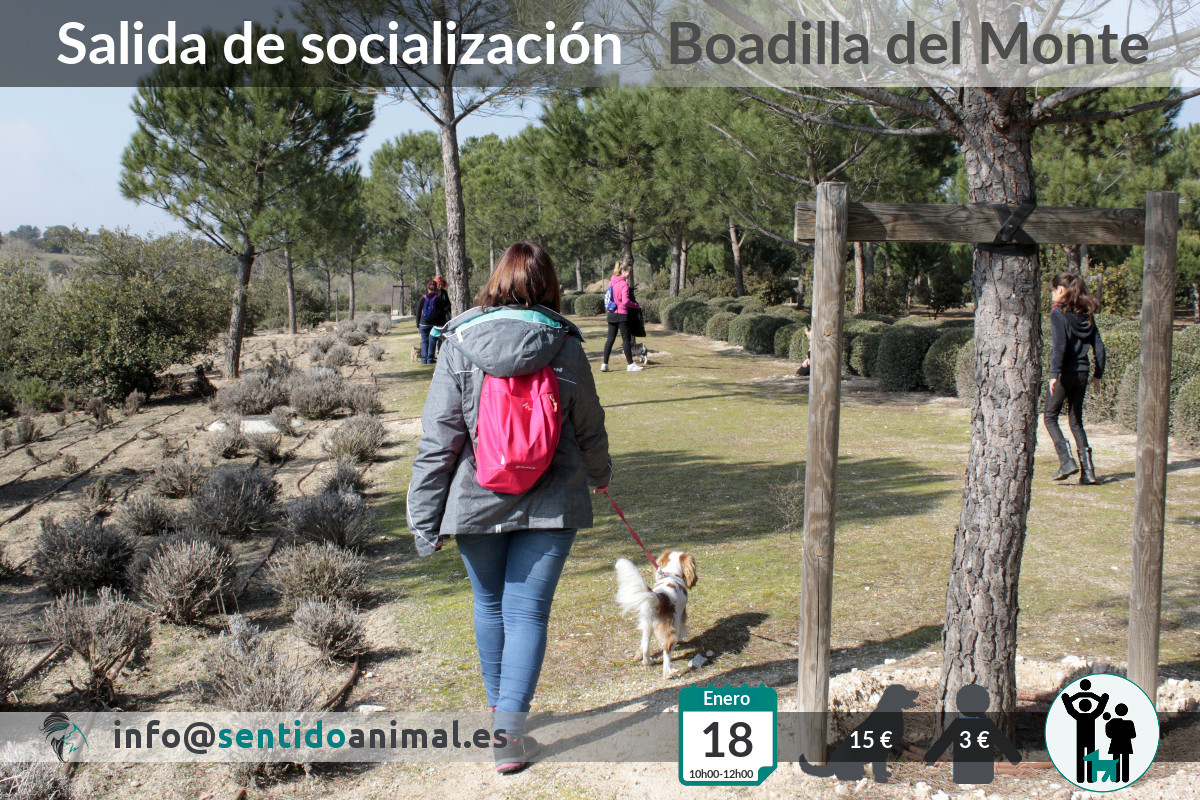 Socialización canina y paseo – enero 2020