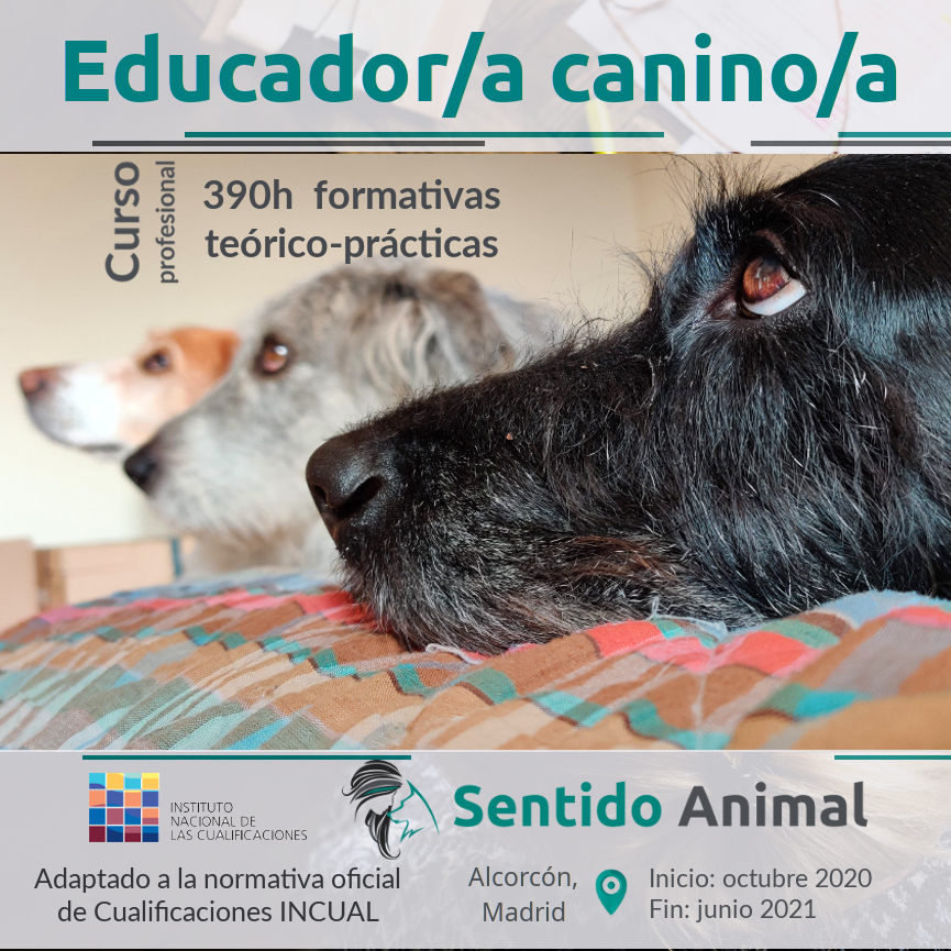 Curso profesional de Educador/a Canino/a – III edición