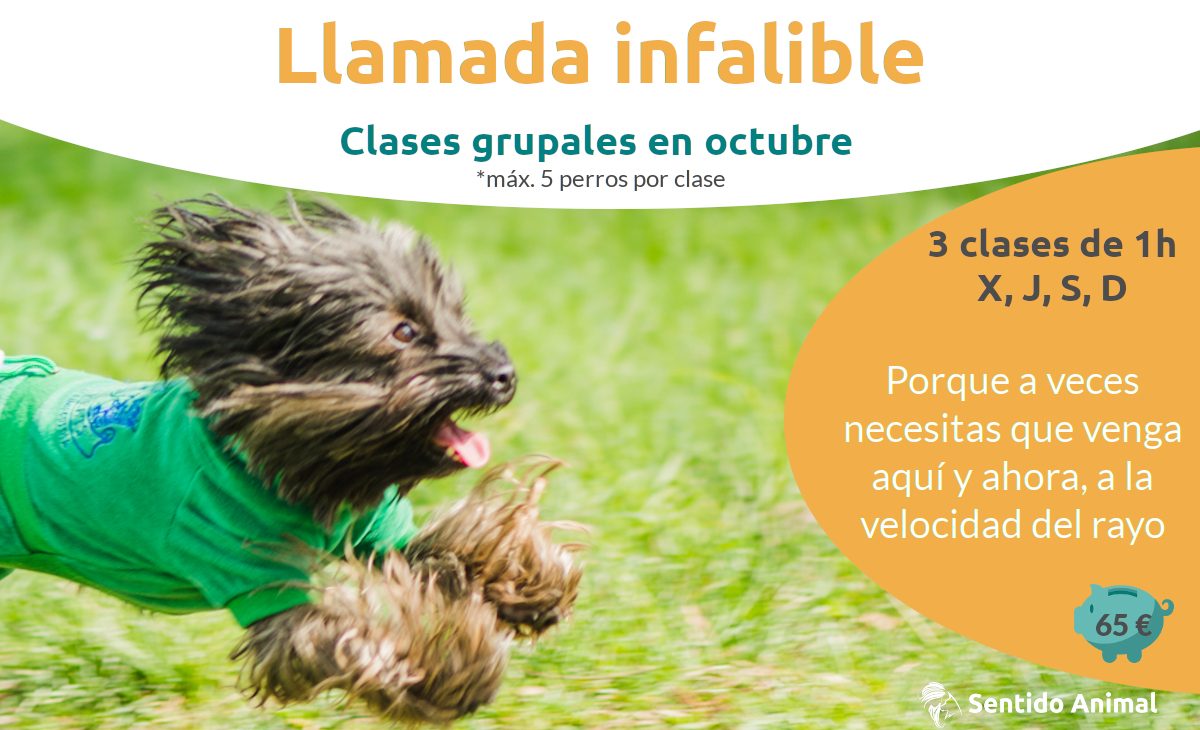 Clases grupales: Llamada infalible