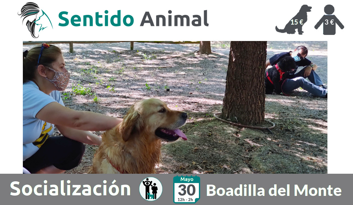 Socialización canina y paseo – domingo mayo 2021