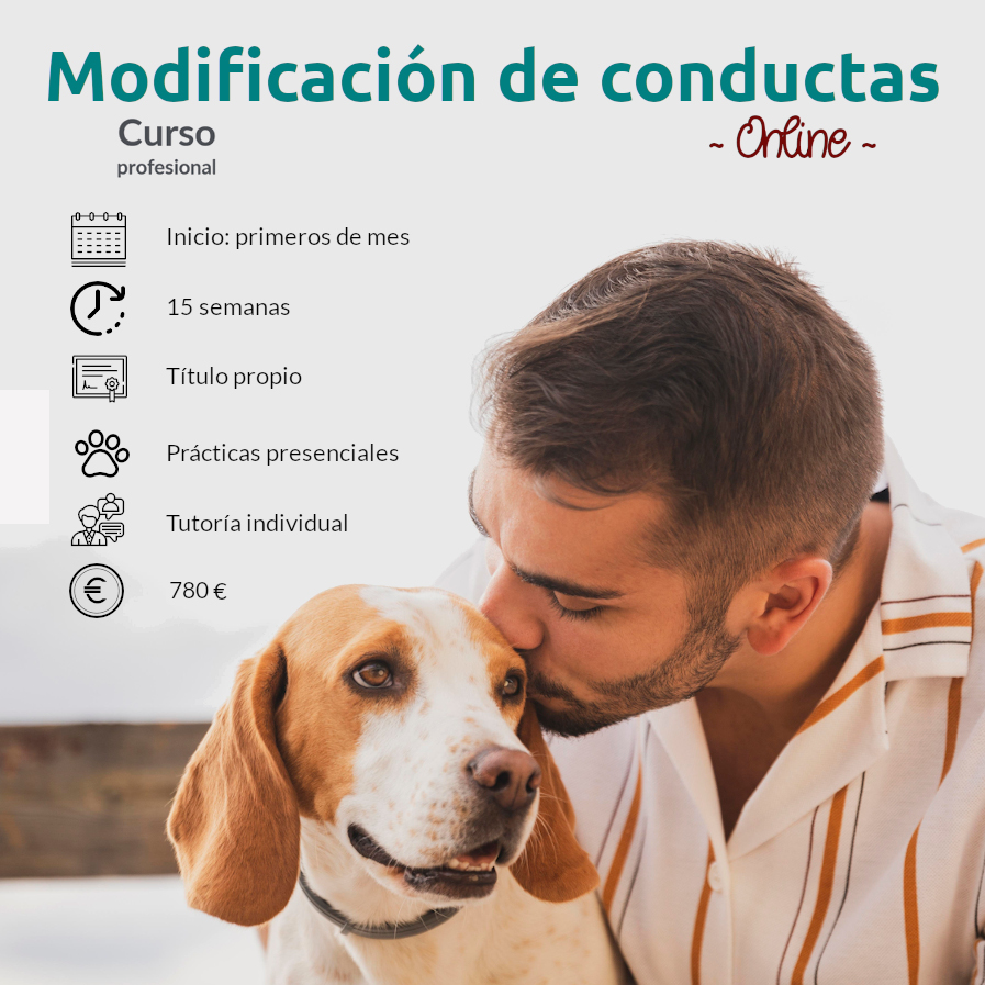 Curso profesional de Modificación de Conducta Canina – feb22