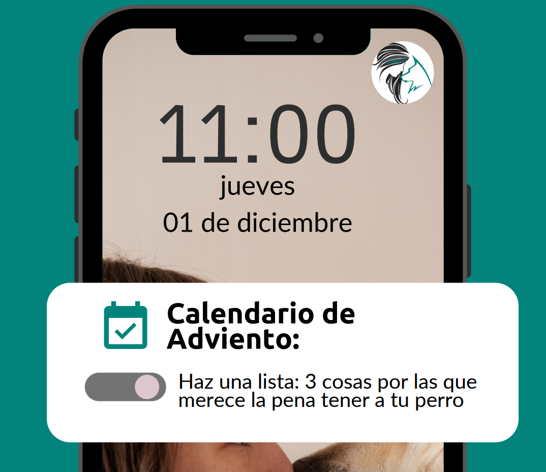 Calendario de adviento Sentido Animal 2022