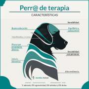 Características de la perra o perro de terapia